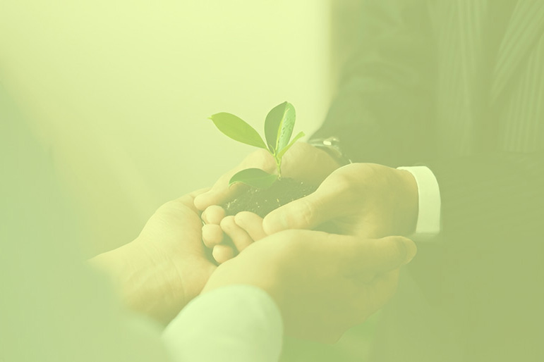 صورة الرسالة